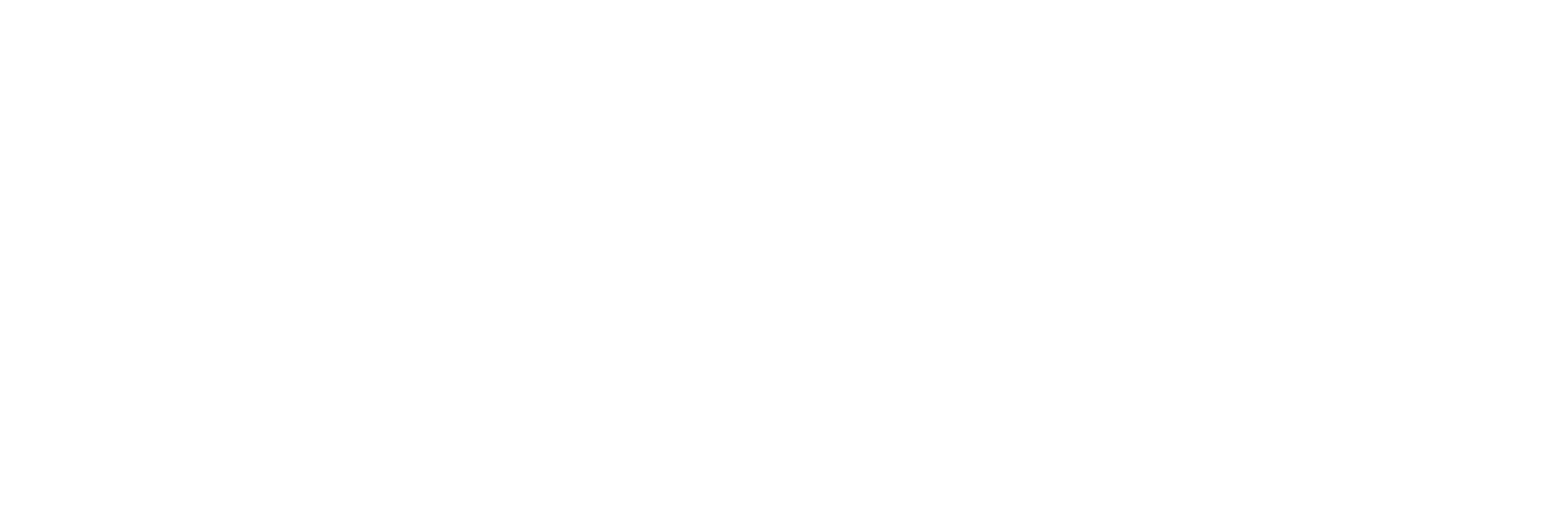 Mars Customer Success